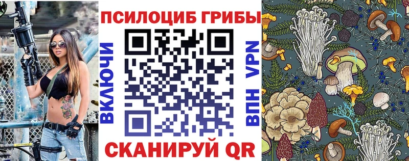 сколько стоит Игарка Галлюциногенные грибы MAGIC MUSHROOMS